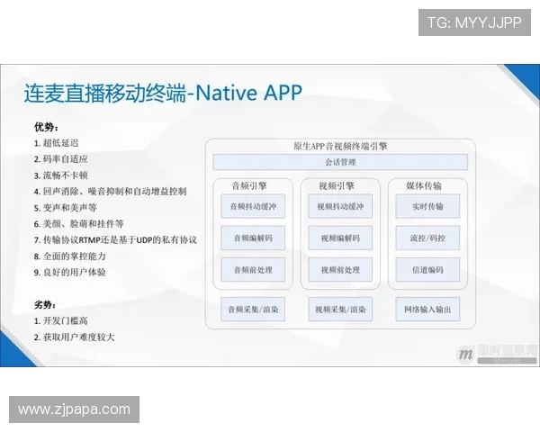 西甲直播的多样平台选择及用户体验总结